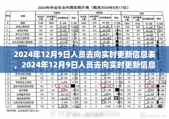 2024年12月9日人员去向实时更新信息表，重要性、挑战与观点探析