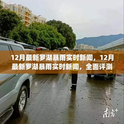 最新罗湖暴雨实时新闻全面评测与深度介绍