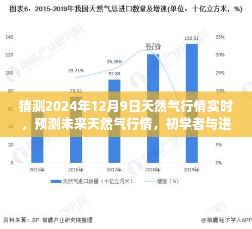 2024年12月9日天然气行情预测与实战指南，初学者与进阶用户必读