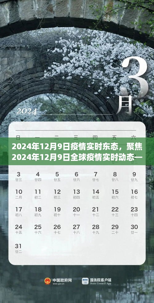 2024年12月9日全球疫情实时动态深度解析，三大要点聚焦