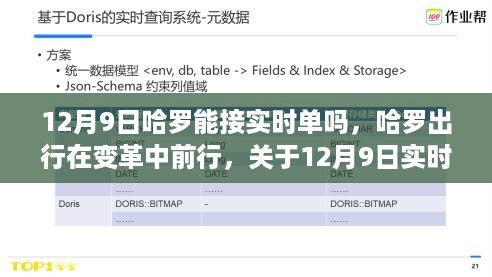 哈罗出行实时单接入功能解析，12月9日能否接实时单？哈罗出行的变革之路探索。