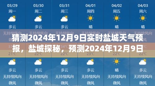 盐城探秘，预测宁静之旅——盐城天气预报2024年12月9日实时播报