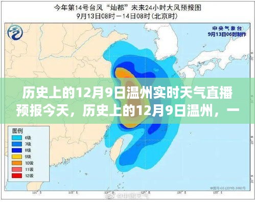 历史上的12月9日温州实时天气直播，探寻自然美景与内心平和的旅程