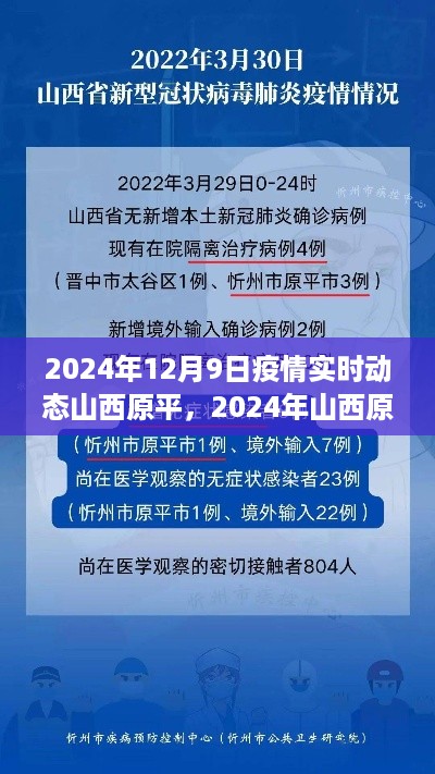 2024年山西原平疫情实时动态深度解析与应对策略