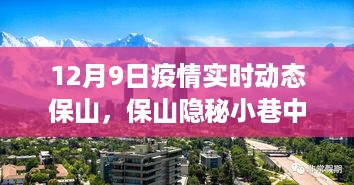 保山疫情实时动态下的美食宝藏，隐秘小巷的温暖风味