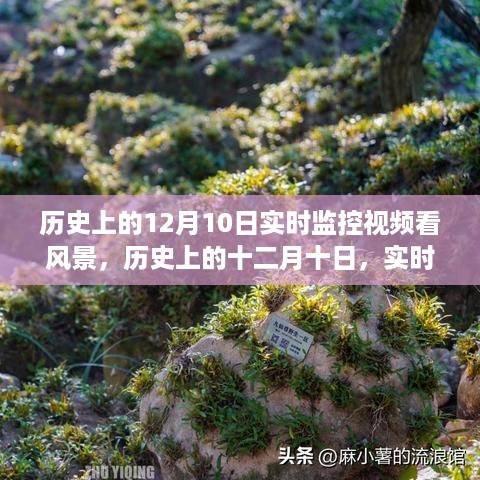 历史上的十二月十日，实时监控风景视频及其影响