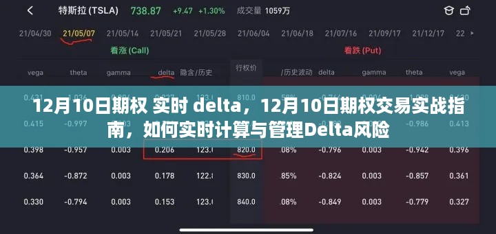 12月10日期权交易实战指南，实时计算与管理Delta风险