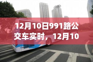 12月10日991路公交车实时追踪与体验分享