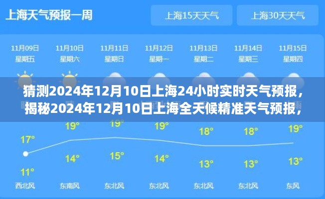 揭秘2024年12月10日上海全天候天气预报，洞悉天气变化，从容面对每一天