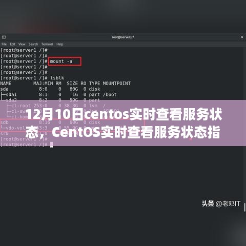 CentOS实时查看服务状态详解指南，步骤与要点解析