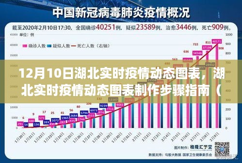 湖北实时疫情动态图表制作指南，初学者与进阶用户的实用步骤（12月10日更新）