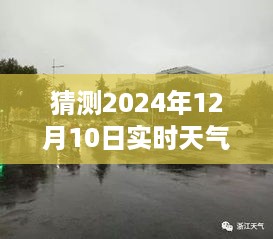 揭秘嘉兴小巷深处的独特风味，一家隐藏式特色小店与天气故事，预测嘉兴2024年12月10日实时天气展望