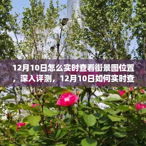 12月10日实时街景图位置查看指南，产品特性、使用体验与竞品对比深度评测