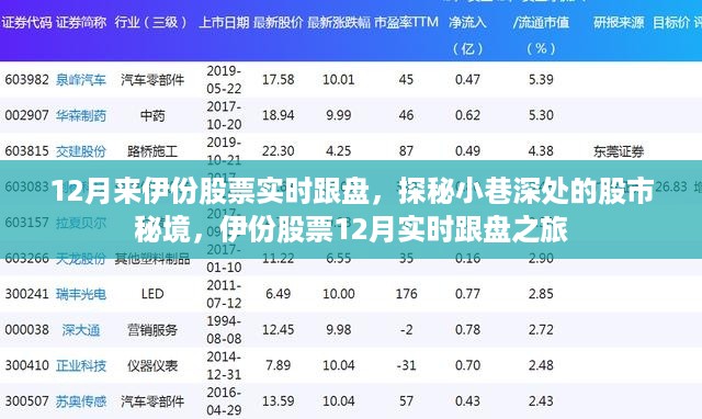 探秘股市秘境，伊份股票12月实时跟盘之旅