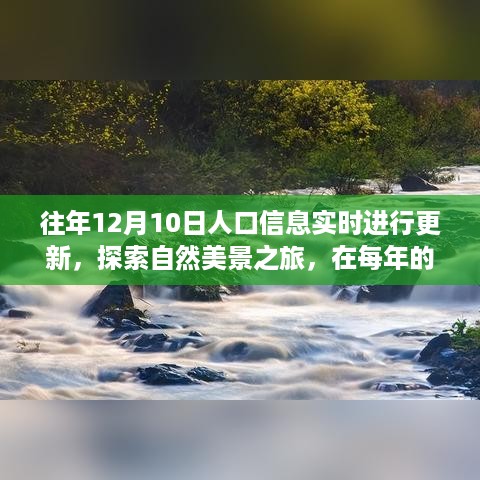 12月10日人口信息更新日，追寻自然美景与内心宁静之旅