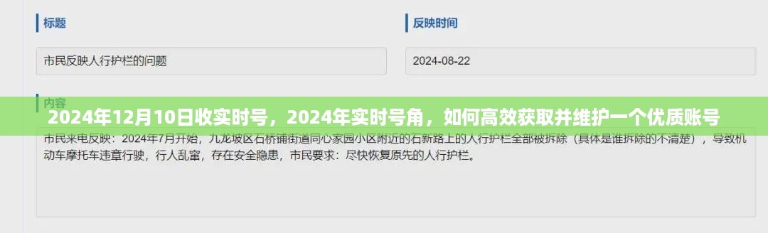 如何高效获取并维护优质账号，实时号角攻略（适用于2024年）