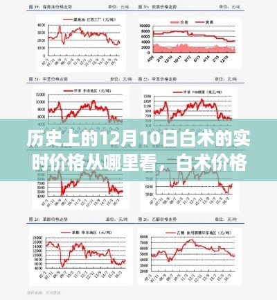 科技引领下的白术实时价格追踪之旅，历史12月10日的行情洞察新纪元