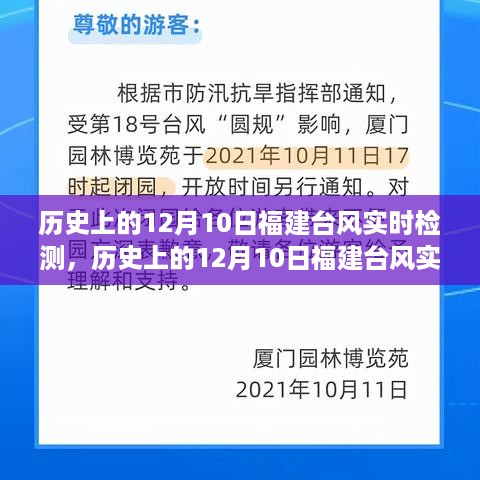 回顾与解析，历史上的福建台风实时检测——聚焦12月10日当日情况