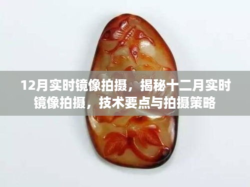 揭秘十二月实时镜像拍摄，技术要点与拍摄策略全解析