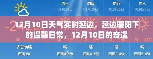 12月10日延边暖阳下的温馨日常与奇遇