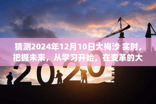 大梅沙未来展望，把握变革机遇，开启无限可能之旅——2024年12月10日实时洞察