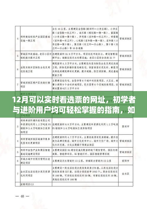 12月选票实时查看指南，从初学者到进阶用户，轻松掌握网址操作技巧