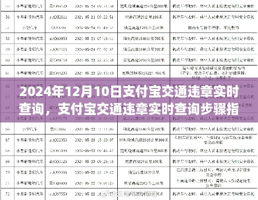 支付宝交通违章实时查询指南，从初学者到进阶用户的步骤指南（2024年12月10日更新）