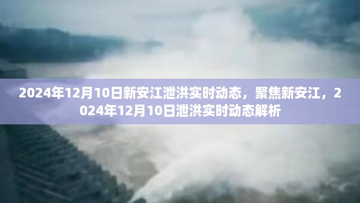 新安江泄洪实时动态解析，聚焦2024年12月10日泄洪实况