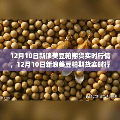 12月10日新浪美豆粕期货实时行情深度解析与走势预测