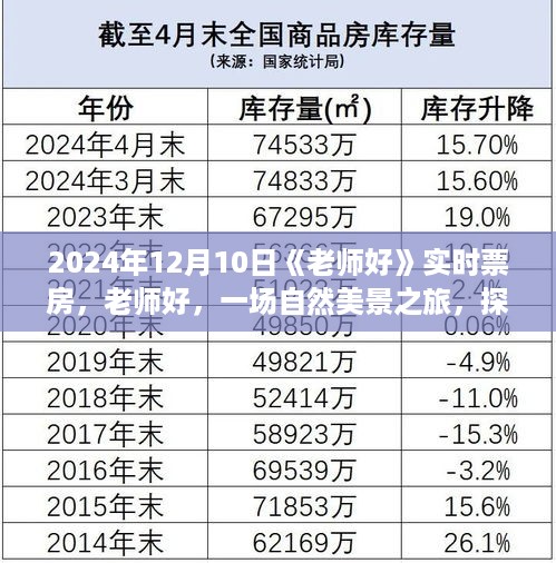 老师好探寻自然美景之旅，内心宁静与票房奇迹的交汇点（实时票房报道）