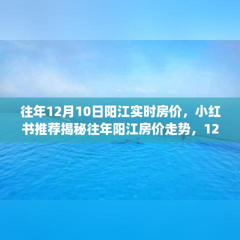 揭秘往年阳江房价走势，12月10日实时房价报告与小红书推荐