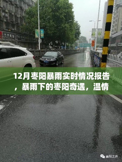 枣阳暴雨下的邻里互助温情故事，实时情况报告与奇遇分享