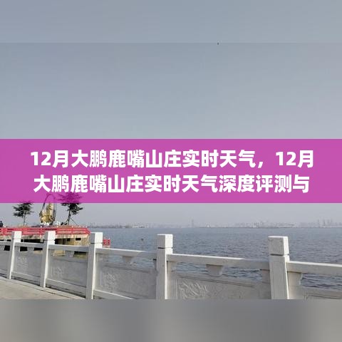 12月大鹏鹿嘴山庄实时天气详解与深度评测