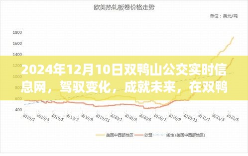 驾驭变化，成就未来，双鸭山公交实时信息网引领公交信息时代的励志之旅（2024年12月10日）