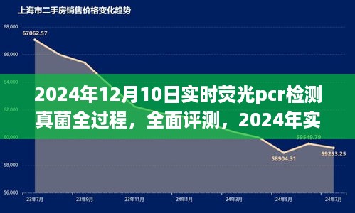 2024年实时荧光PCR检测真菌全过程深度评测，高效精准的检测之旅