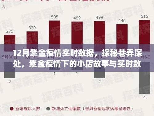 紫金疫情巷弄深处，小店故事与实时数据观察（12月版）