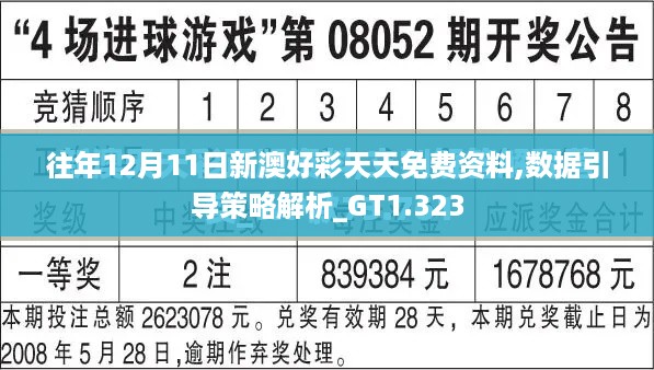 往年12月11日新澳好彩天天免费资料,数据引导策略解析_GT1.323