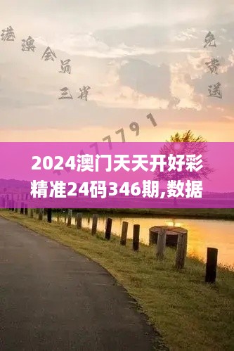 2024澳门天天开好彩精准24码346期,数据整合策略解析_挑战款2.678