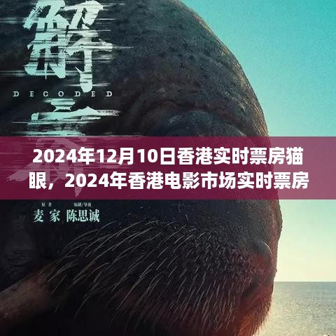 香港电影市场实时票房概览，猫眼数据的深度解读（2024年12月10日）