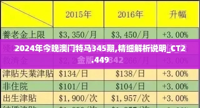 2024年今晚澳门特马345期,精细解析说明_CT2.449