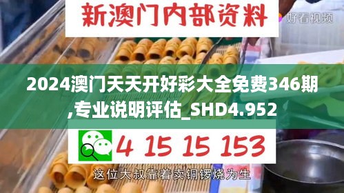 2024澳门天天开好彩大全免费346期,专业说明评估_SHD4.952