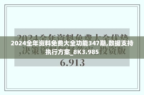 2024全年资料免费大全功能347期,数据支持执行方案_8K3.985