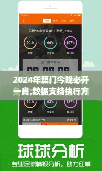 2024年澳门今晚必开一肖,数据支持执行方案_挑战版9.704