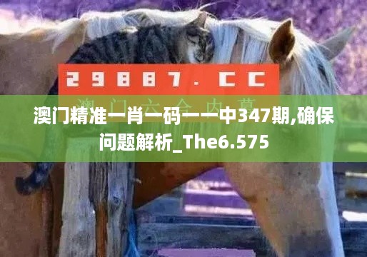 澳门精准一肖一码一一中347期,确保问题解析_The6.575