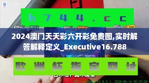 2024澳门天天彩六开彩免费图,实时解答解释定义_Executive16.788