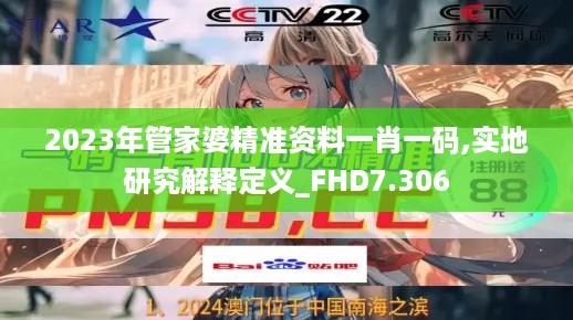 2023年管家婆精准资料一肖一码,实地研究解释定义_FHD7.306