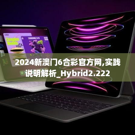 2024新澳门6合彩官方网,实践说明解析_Hybrid2.222