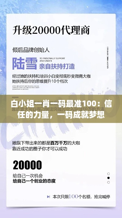 白小姐一肖一码最准100：信任的力量，一码成就梦想