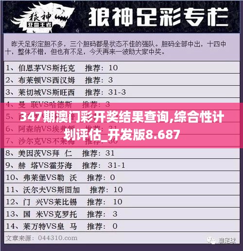 347期澳门彩开奖结果查询,综合性计划评估_开发版8.687