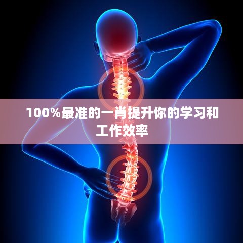 100%最准的一肖提升你的学习和工作效率